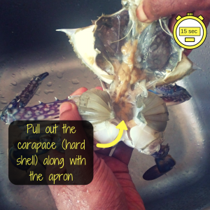 how to clean crab in less than 60 seconds? (easy method)